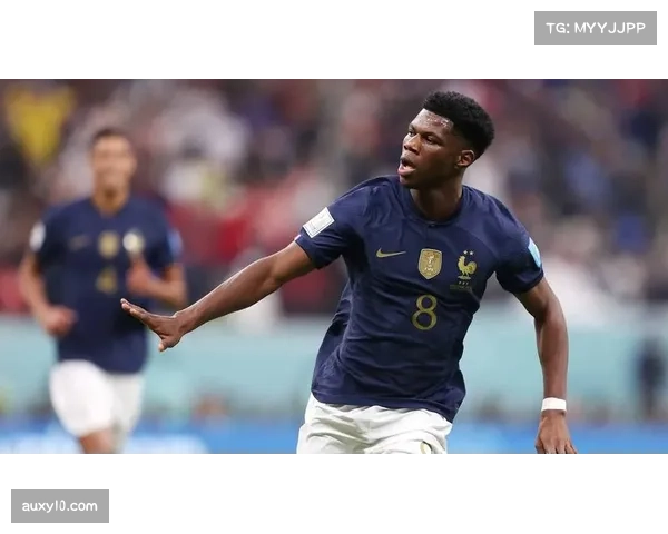 楚阿梅尼法国后腰 防守屏障兼进攻发起